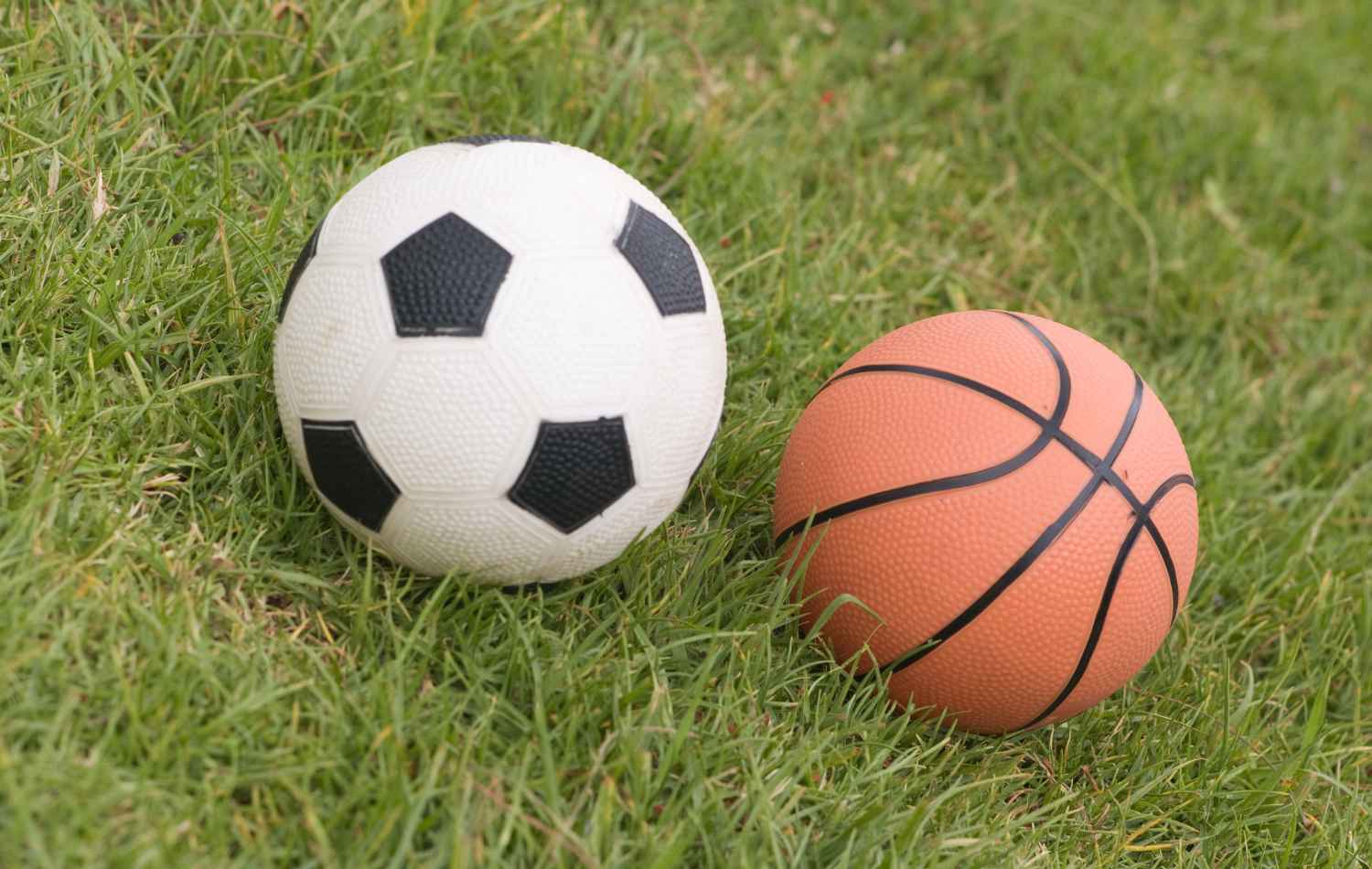 Basketball and Soccer