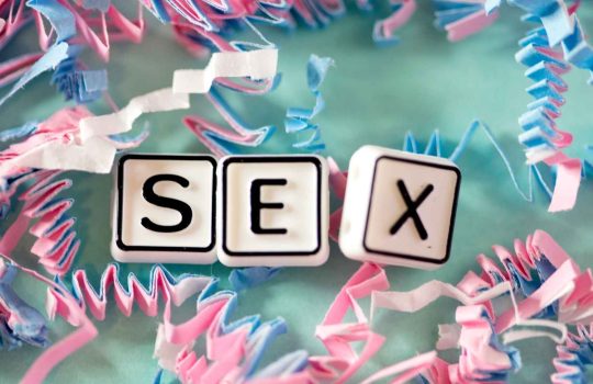 אביזרי מין2