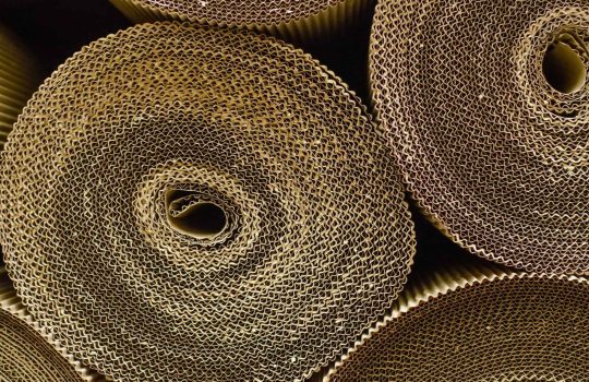 גליל קרטון2