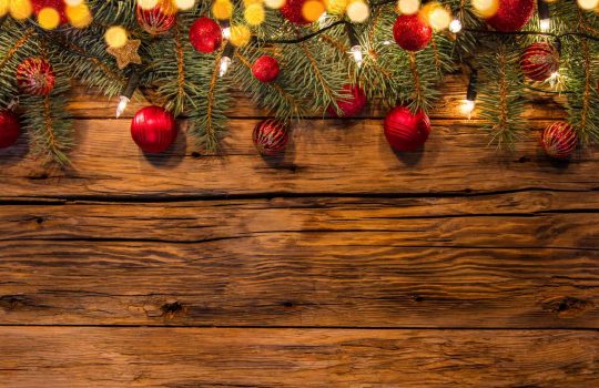 זרים מעוצבים2