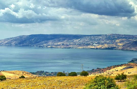 מתנות מהגליל לאנשים הקרובים מחו"ל2