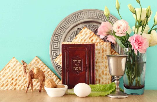 מתנות פסח2