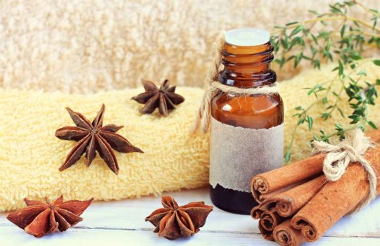 שמן אתרי קינמון2