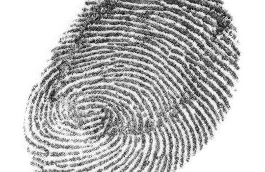 שרשרת טביעת אצבע2